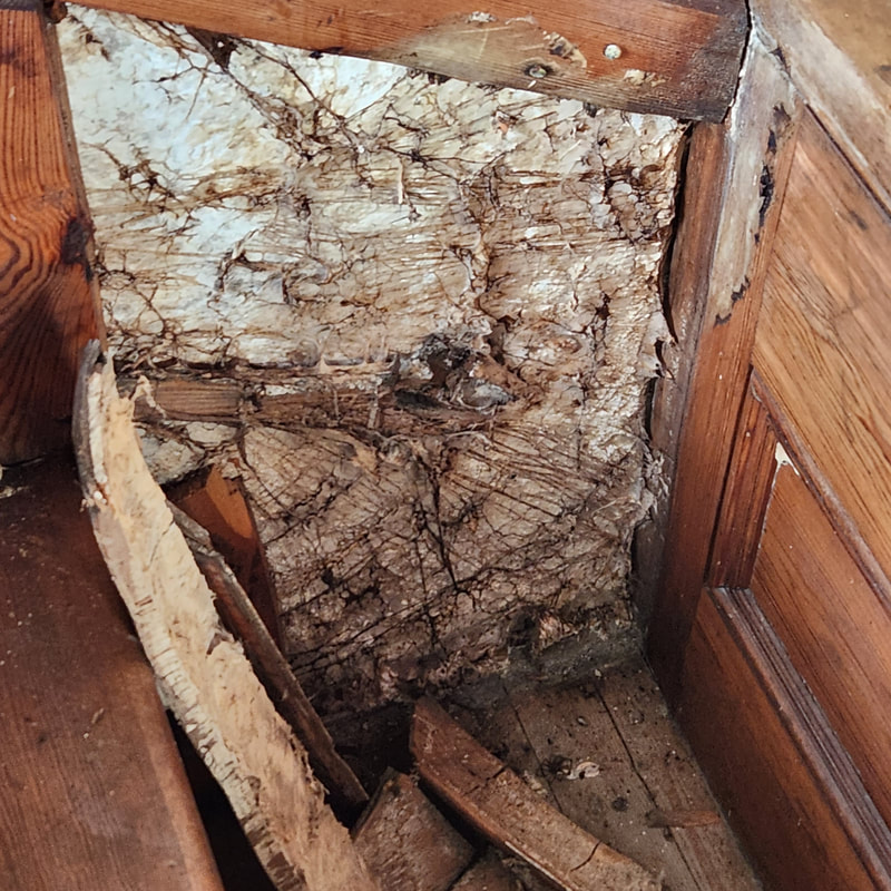 Dry rot in the wall of the chapel
