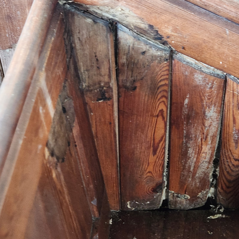 Dry rot in the wood panelling