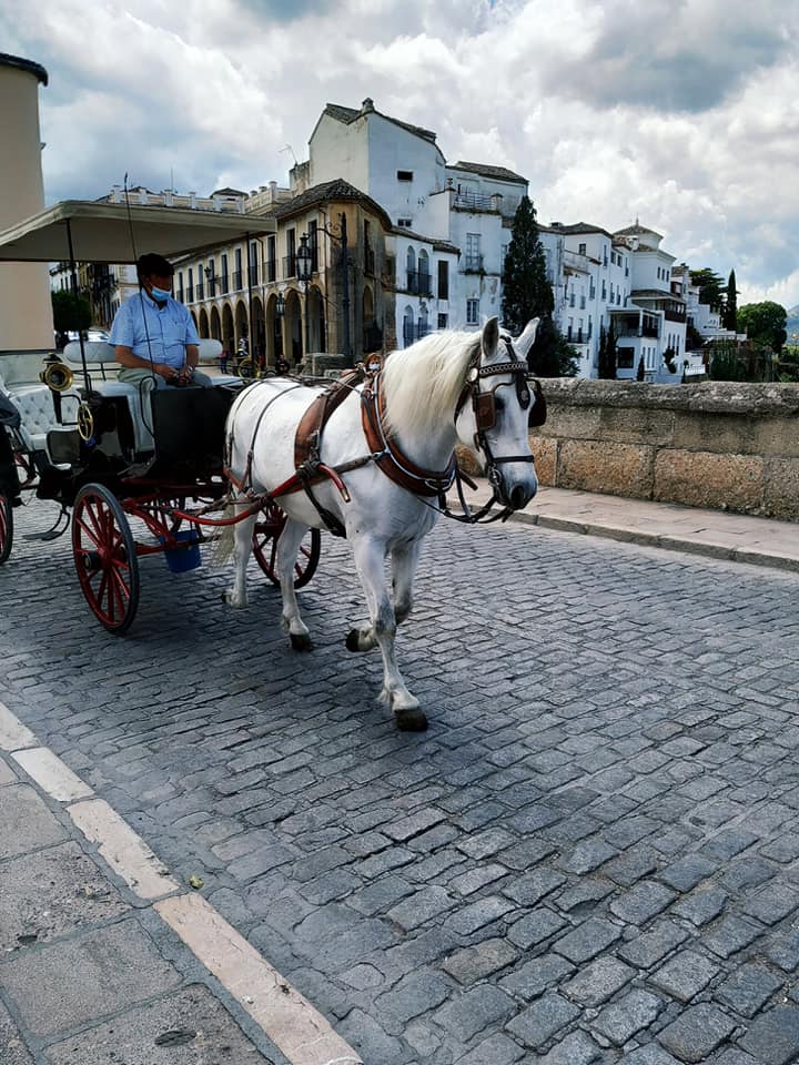 Horse and Carriage on the Puente Nuevo, Ronda